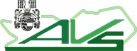 Logo AVS